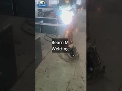 Sri Lanka Stahlwerkstatt mit Kranprojekt